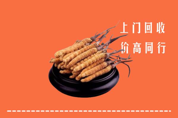 高价求购：含山回收散虫草