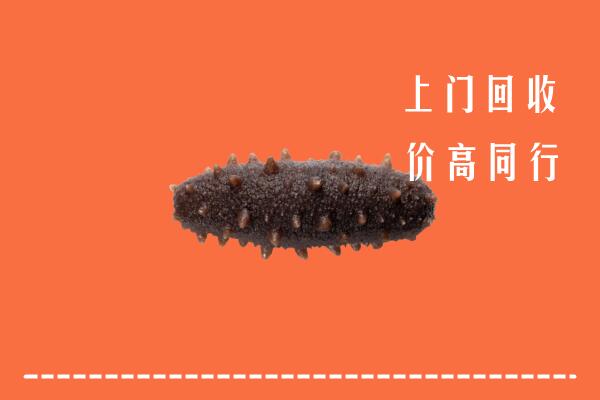高价求购：含山回收海参